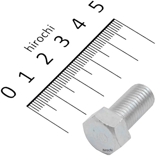 6角ボルト10×20 92101-100200A