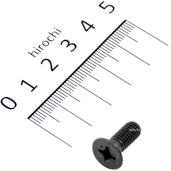 スクリュー フラット 6X16 93600-060160G