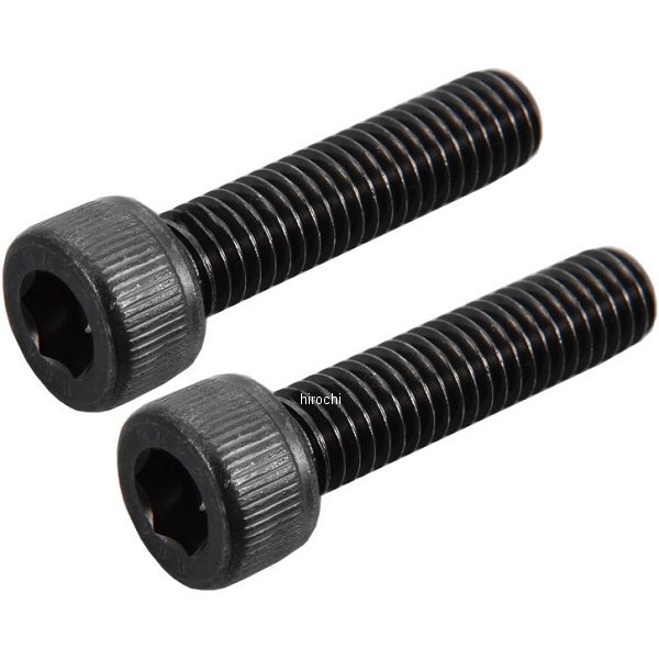 ステンレスキャップボルト M4X10 黒 2本入り