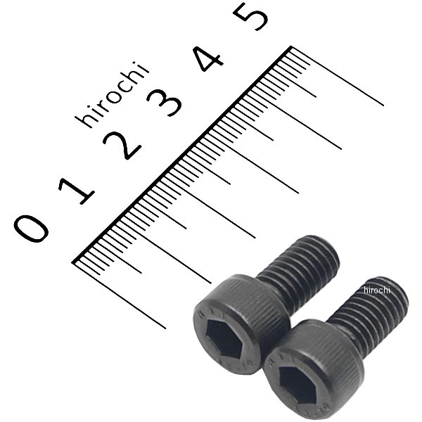 キャップボルトセット 汎用 M8x15mm ステンレス 2本入り 黒