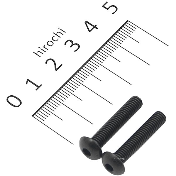 ステンレスブラックボタンキャップボルト M5X25 黒 2個入り