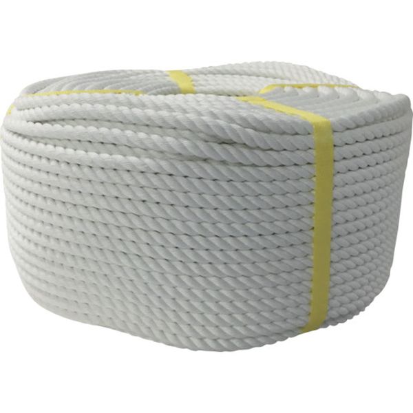 ロープ ポリエステルロープ巻物 10φ×200m