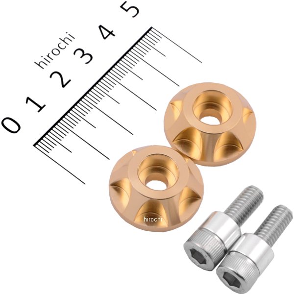 アッパーカウルキャップホルダー NASAタイプ ZZR1100D 2個入り シャンパンゴールド