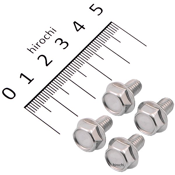 フランジ六角ボルトセット 汎用 M6x10mm ステンレス 4本入り