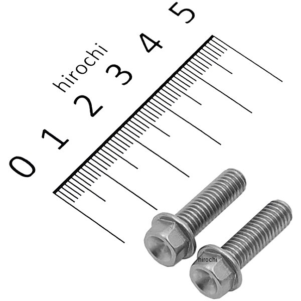 スモールフランジ六角ボルト ステンレス M6x20 P1.0 2本入り