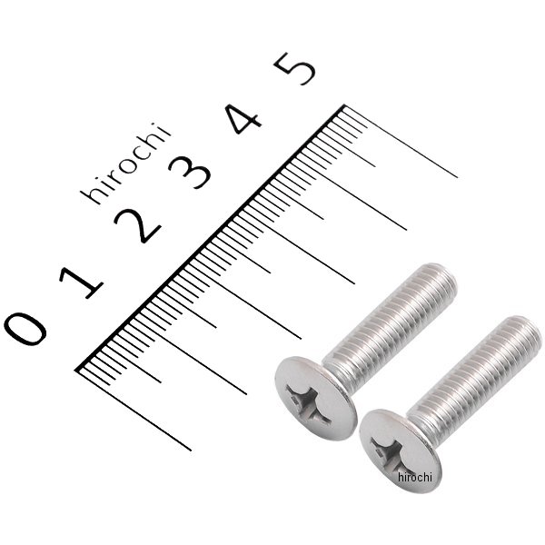 バーエンドリペアパーツ 丸皿+小ネジ M6x25mm 2本入り ステンレス