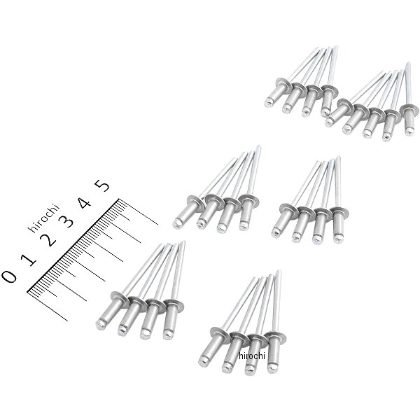 ブラインドリベット 25個入り