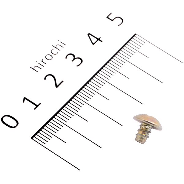 スクリュー タッピング 4X6 93903-24010