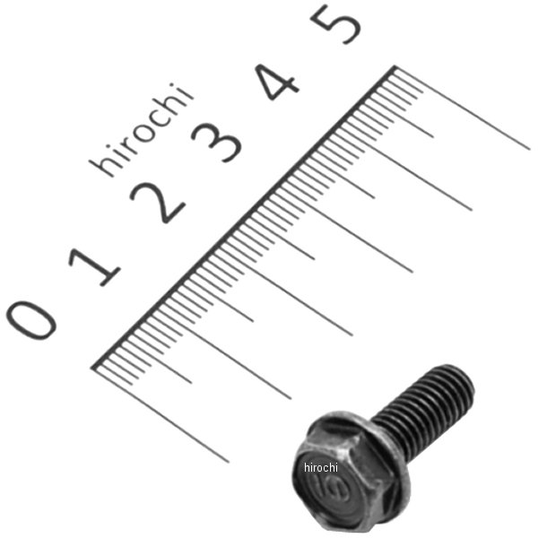 ボルト フランジ 6X16 95701-0601607