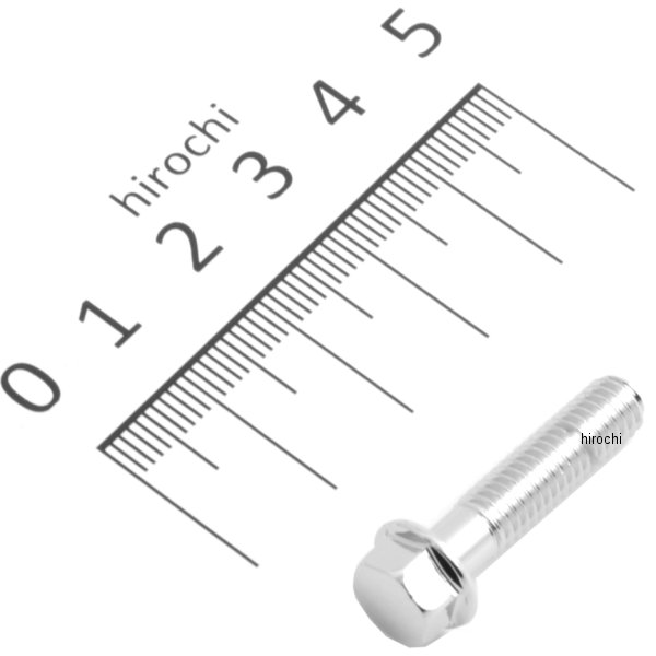 フランジボルト 6X25 96001-06025-02