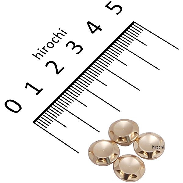 ポッシュ NASAタイプキャップボルトカバー M6用 シャンパンゴールド