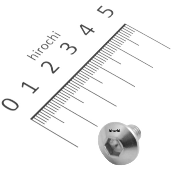 スクリュー パン 6X10 90132-KPP-T00