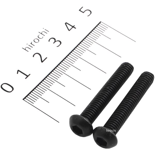 SUS304 六角穴付ボタンキャップボルト 汎用 M6x35 P1.00 黒 ステンレス 2本入り