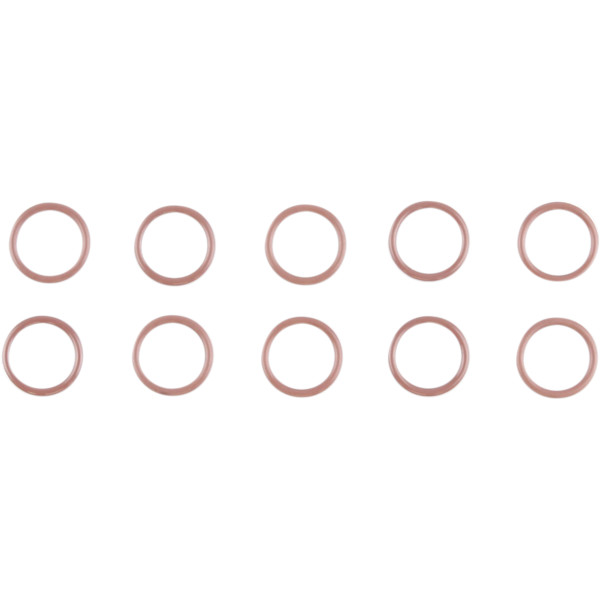 カムプレート オイルポンプ Oリング M-Eight (10個入り) 11900103