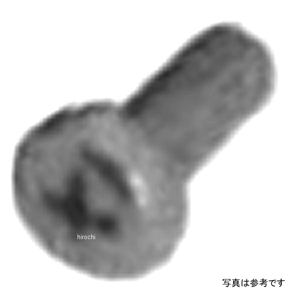 トラススクリュー 4X10 10個入り