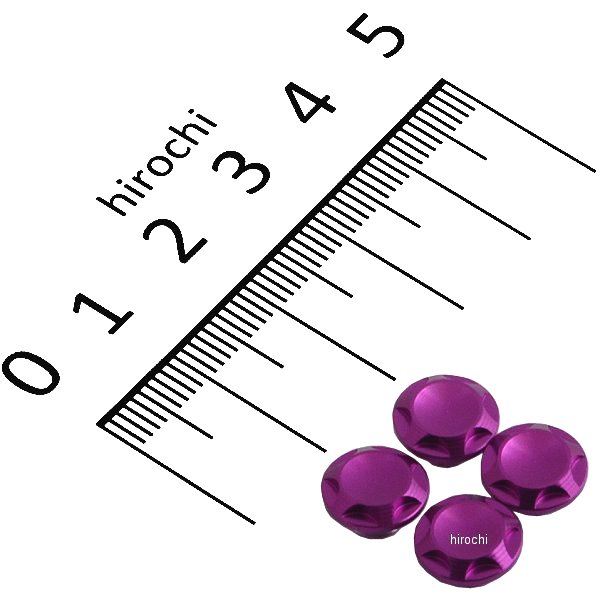 ポッシュ NASAタイプキャップボルトカバー M6用 ブルーベリー