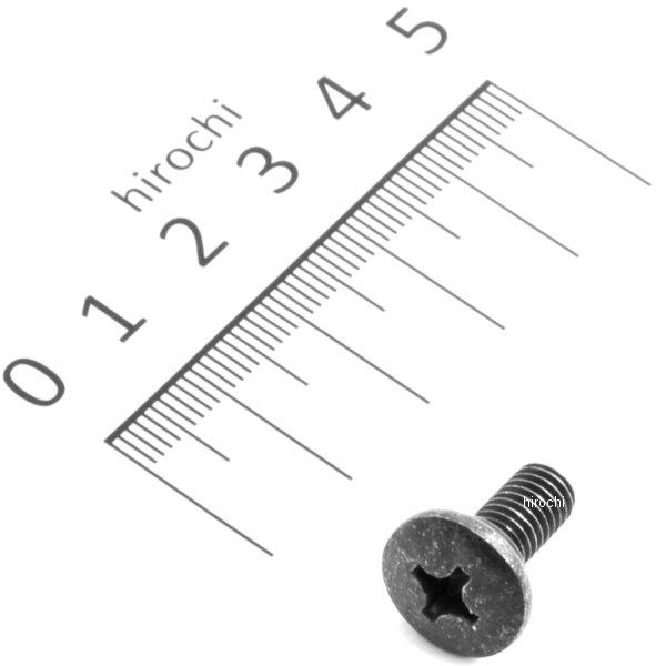 スペシャルスクリュー 6×15 90380-GM9-740