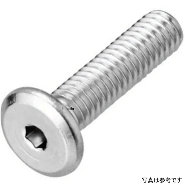 極低頭ソケットスクリュー 6X16 2個入り