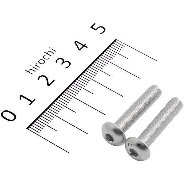 ステンレスボタンキャップボルト M5X25 2個入り