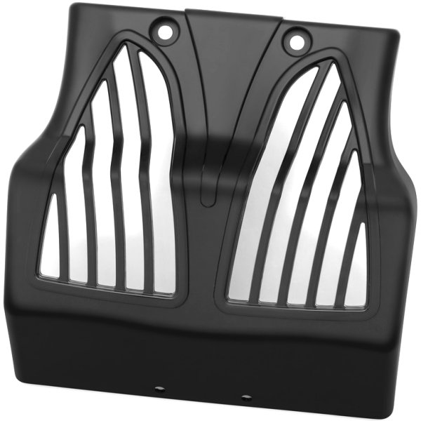 チンフェアリング 14年-21年 インディアン 黒