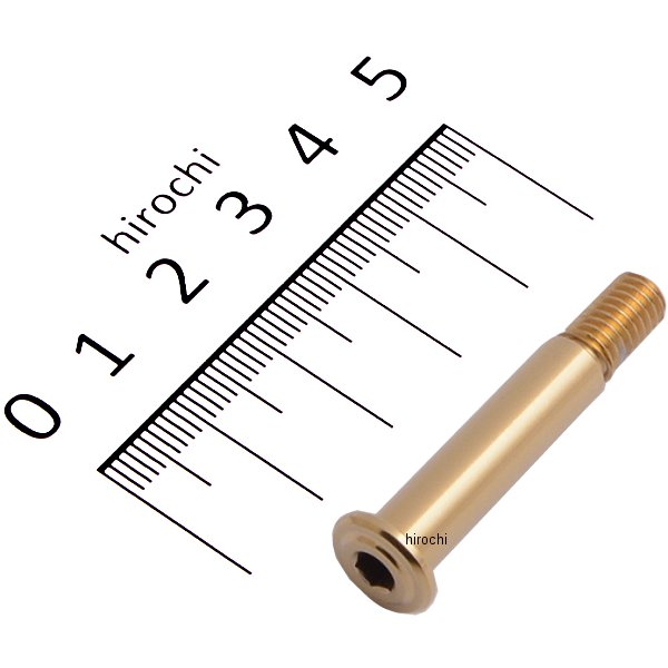 ピボットピン チタンゴールドコーティング VRC、RM共通 ゴールド