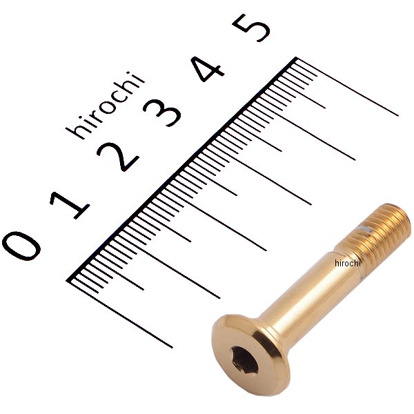 ピボットピン チタンゴールドコーティング ゴールド