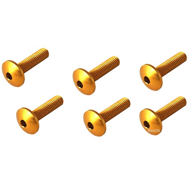 スクリーンボルトキット 17年 GSX-R1000 黒