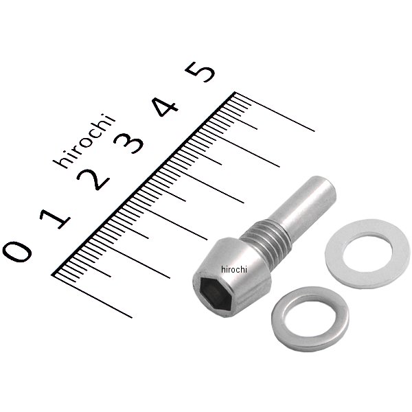 カムチェーンガイド ローラー ボルト