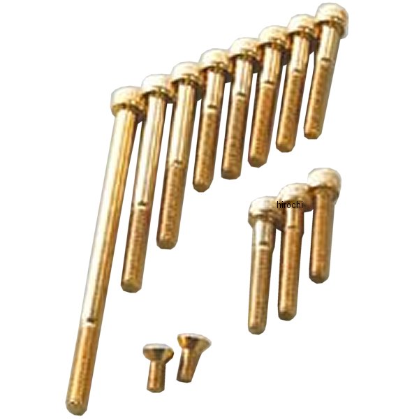 24Kメッキ 丸皿小ネジ M5x12