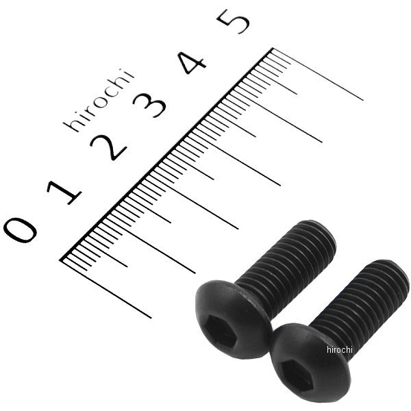 SUS304 六角穴付ボタンキャップボルト 汎用 M8x20 P1.25 黒 ステンレス 2本入り