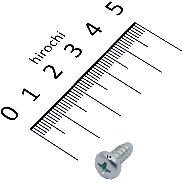 スクリュー タッピング 5×10 93901-25110