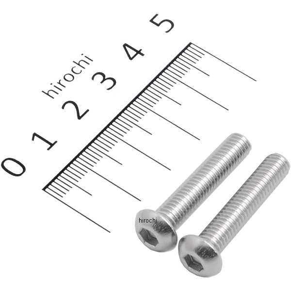 SUS304 六角穴付きボタンキャップボルト M6x30 P0.10 ステンレス 2個入り