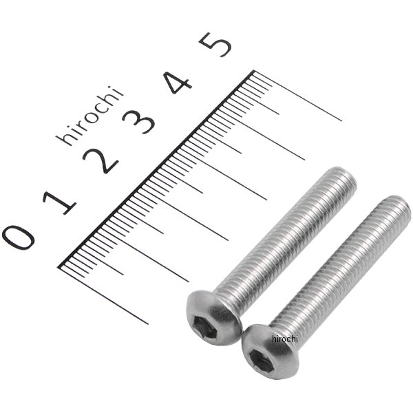 SUS304 六角穴付きボタンキャップボルト M6x35 P0.10 ステンレス 2個入り