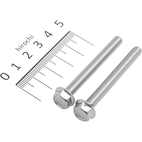 フランジ六角ボルトセット 汎用 M6x55mm ステンレス 2本入り