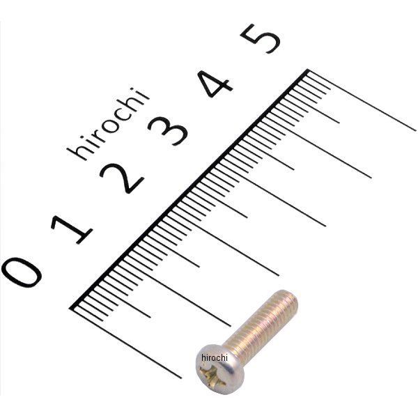 パンスクリュー 4X14 93500-040140A