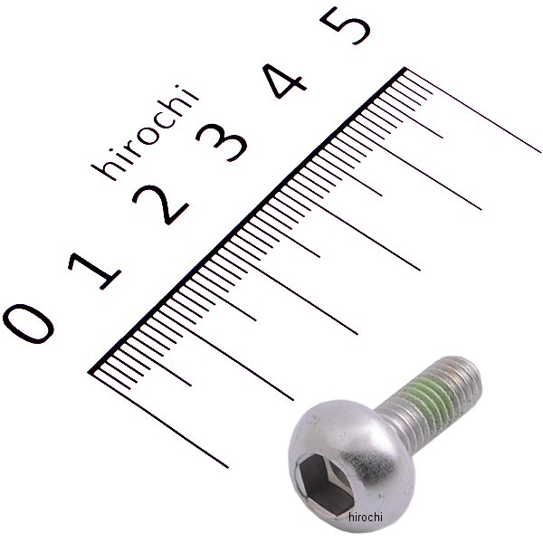 ブレーキディスクボルト M6×16 P1.0 ホンダ用 10本入り 90105-KN5-000