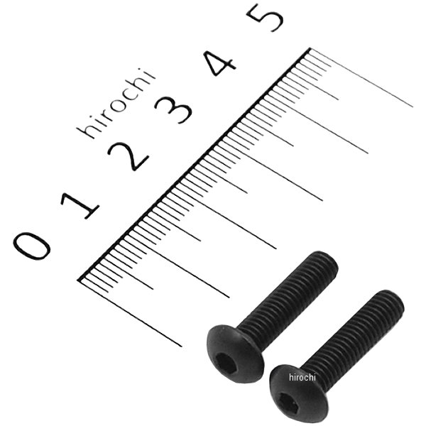 ステンレスブラックボタンキャップボルト M5X20 黒 2個入り