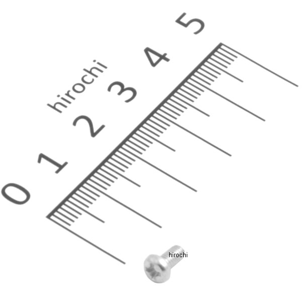 パンスクリュー 3X6 93500-03006-0A