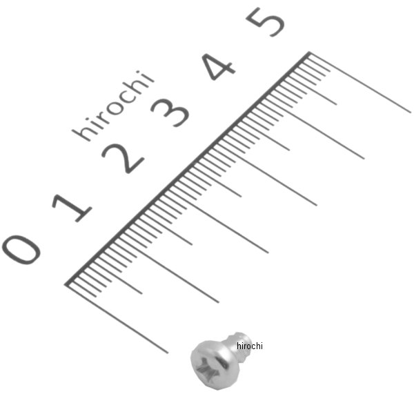 スクリュー タッピング 4X6 93901-24010