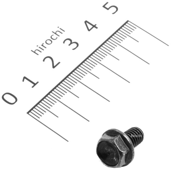 フランジボルト 6X10 96300-0601007