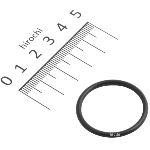 Oリング 16958-268-010