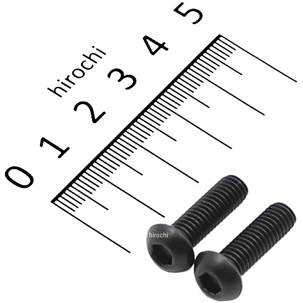 SUS304 六角穴付ボタンキャップボルト 汎用 M6x20 P1.00 黒 ステンレス 2本入り