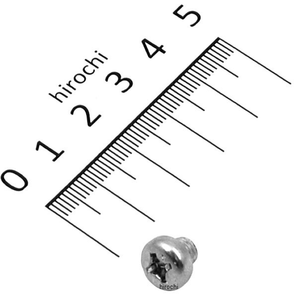 パンスクリュー 6×5 93500-06005