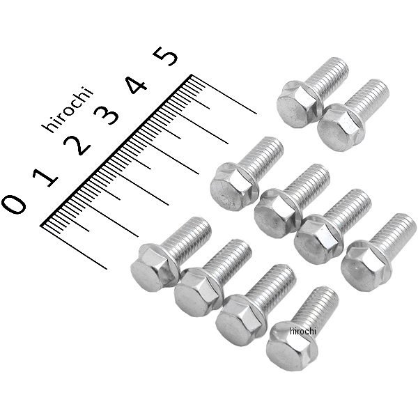 六角ヘッド フランジ ボルト M6 x 1.0 x 14 8mm (10個入り)