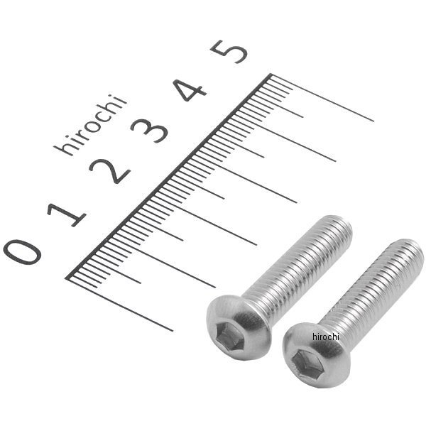 ボタンキャップボルトセット 汎用 M6x25mm ステンレス 2本入り