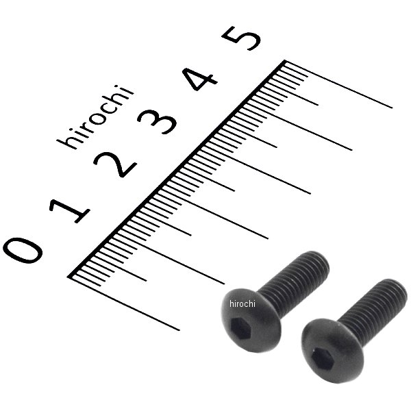 ステンレスブラックボタンキャップボルト M5X15 黒 2個入り