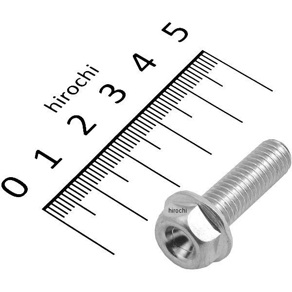 フランジボルト 8X25 96300-0802500