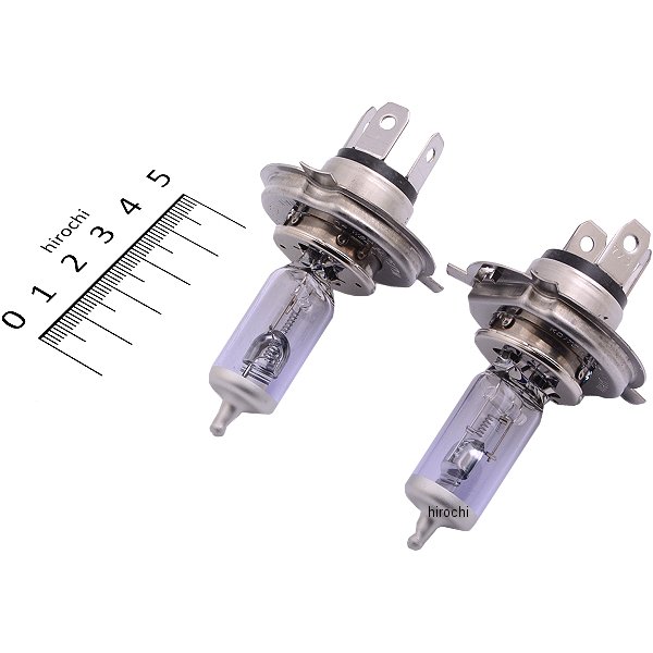 ハロゲンバルブ H4 24V75/70W 3770K ハードケース 2個入り ホワイトビームVer.Ⅱ