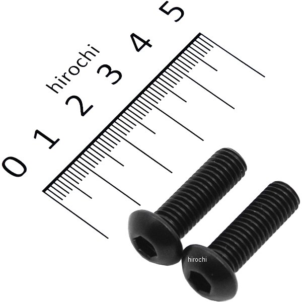 SUS304 六角穴付ボタンキャップボルト 汎用 M8x25 P1.25 黒 ステンレス 2本入り