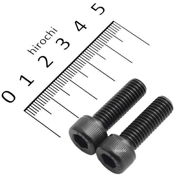 キャップボルトセット 汎用 M8x25mm ステンレス 2本入り 黒